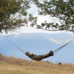 Image: a soldier sleeping in a Hammock. dreams.